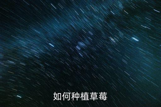 如何种植草莓