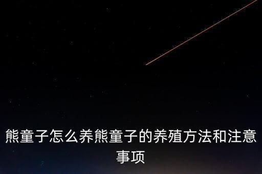 熊童子，熊童子是不是长绿植物