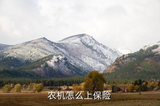 农机怎么上保险