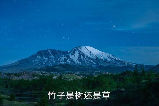 竹子是草还是树，竹子是树还是草