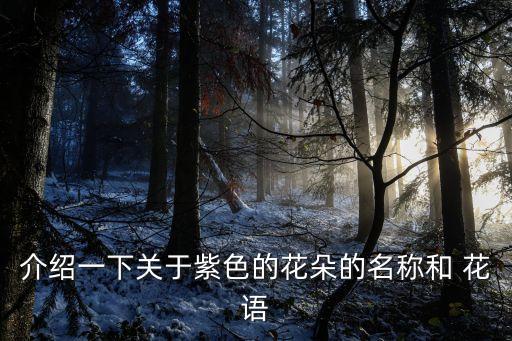 介绍一下关于紫色的花朵的名称和 花语
