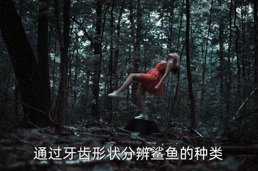 通过牙齿形状分辨鲨鱼的种类