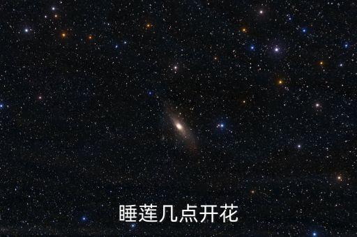 睡莲几点开花，睡莲几点开花