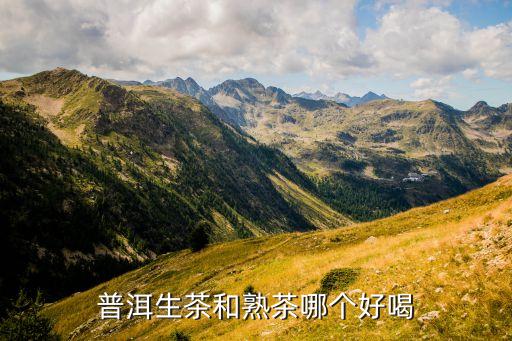 普洱生茶和熟茶哪个好喝