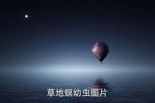 草地螟幼虫图片
