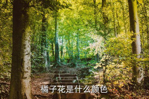 桔花，橘花有哪些姿态