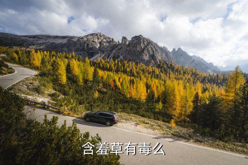 含羞草有毒么