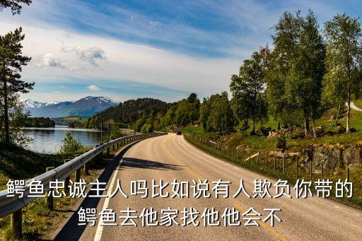 鳄鱼忠诚主人吗比如说有人欺负你带的鳄鱼去他家找他他会不