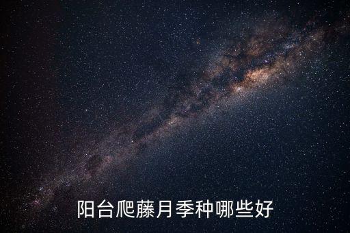 爬藤月季品种，藤本月季有几个品种