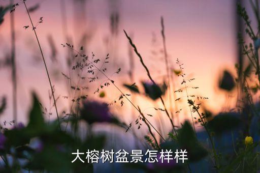 榕树盆景，大榕树盆景怎样样