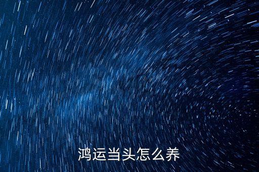 鸿运当头鱼，鸿运当头怎么养