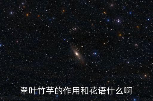 翠叶竹芋的作用和花语什么啊