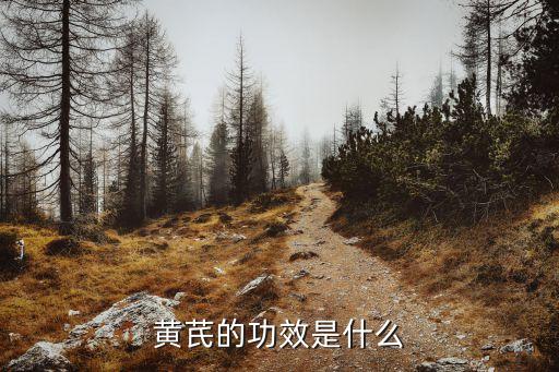黄芪的功效是什么