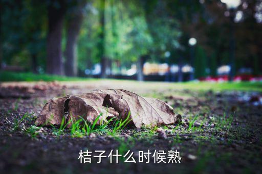 橘子几月成熟，桔子什么时候熟