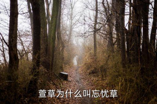 萱草为什么叫忘忧草