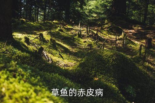 赤皮病，赤皮病的治疗方法