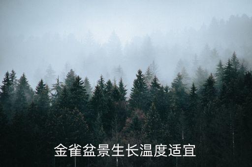 金雀盆景生长温度适宜