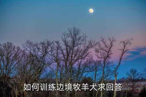 如何训练边境牧羊犬求回答