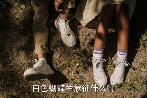 白色蝴蝶兰象征什么啊