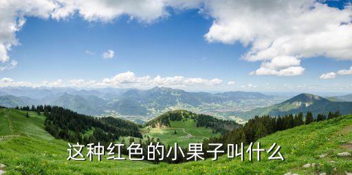 这种红色的小果子叫什么