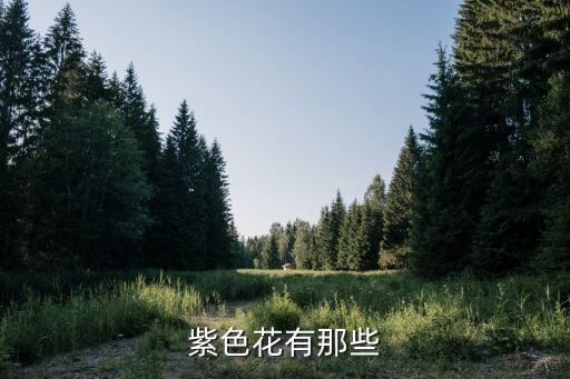 紫色花有那些
