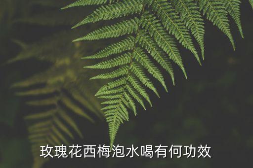 西梅的功效，西梅能降火吗