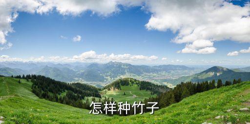 种竹，竹子怎么种