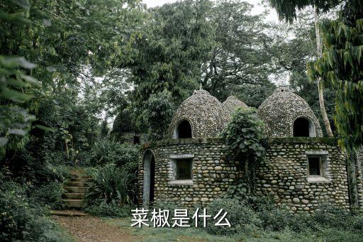 菜椒，菜椒是什么