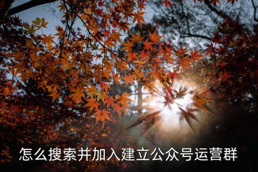 怎么搜索并加入建立公众号运营群