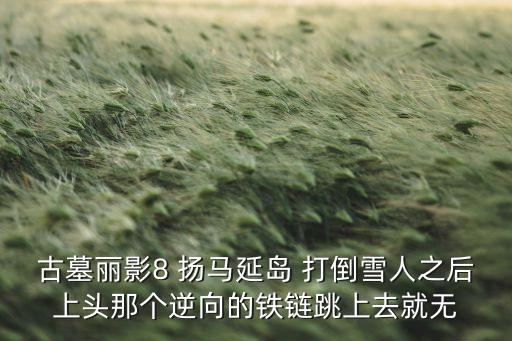 古墓丽影8 扬马延岛 打倒雪人之后上头那个逆向的铁链跳上去就无