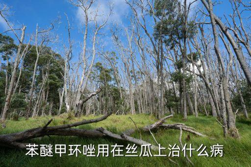 苯醚甲环唑用在丝瓜上治什么病