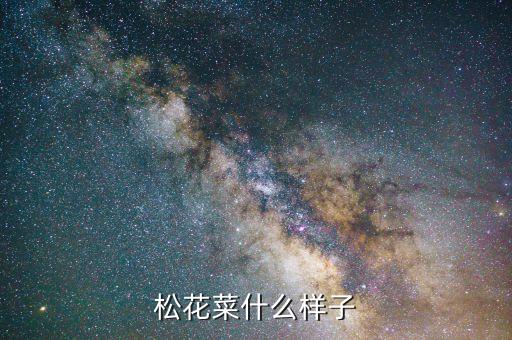 松花菜什么样子