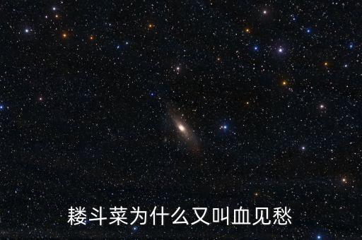 耧斗菜，耧斗菜有什么品种