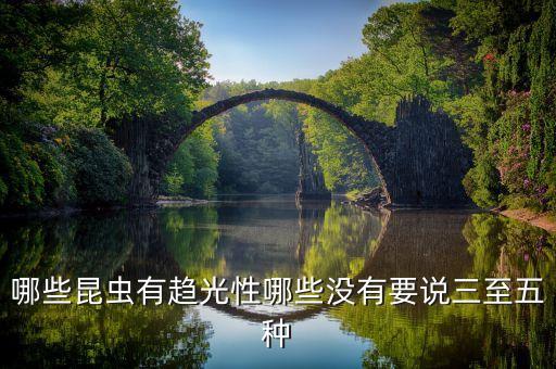 哪些昆虫有趋光性哪些没有要说三至五种