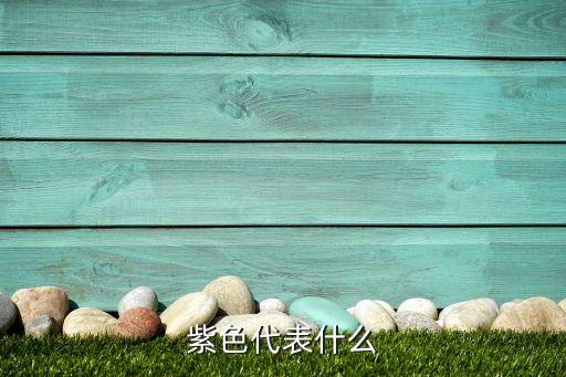 紫，紫色代表什么
