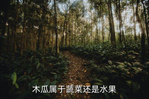 木瓜属于蔬菜还是水果