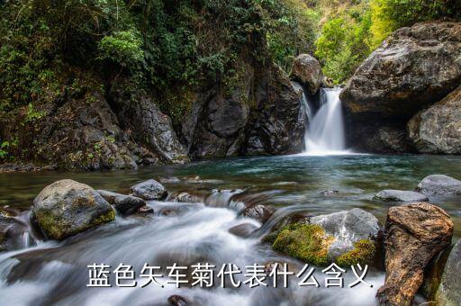 蓝色矢车菊代表什么含义
