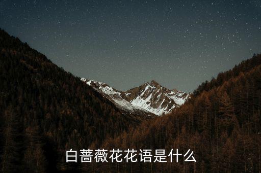 白色蔷薇，白色蔷薇