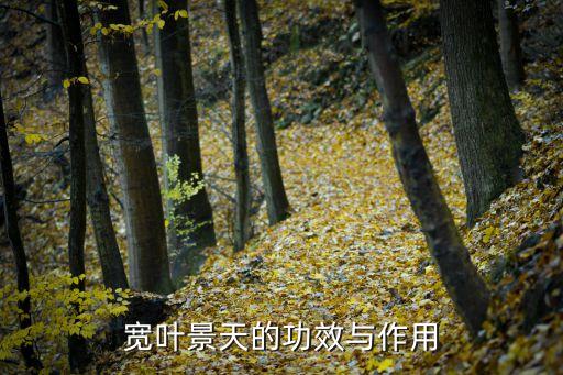 宽叶景天的功效与作用
