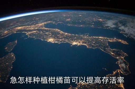 急怎样种植柑橘苗可以提高存活率