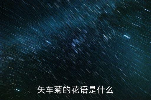 蓝色矢车菊的花语，蓝色矢车菊代表什么含义