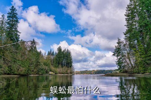 蜈蚣最怕什么