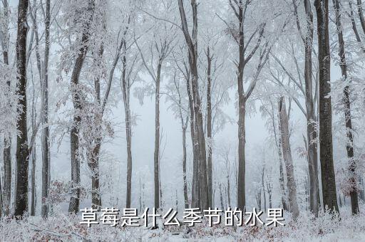 草莓成熟的季节，草莓到底在什么季节成熟