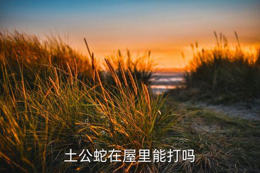 土公蛇在屋里能打吗