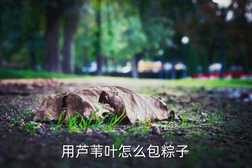 用芦苇叶怎么包粽子
