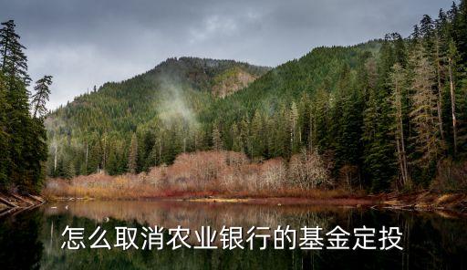 怎么取消农业银行的基金定投