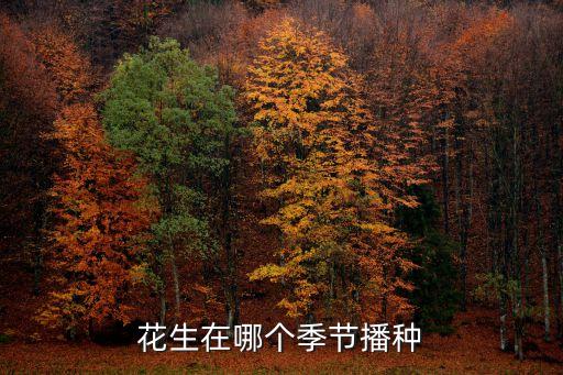 花生在哪个季节播种