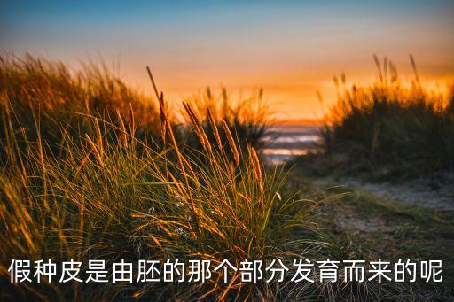 假种皮，假种皮有什么发育而来