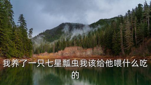 七星瓢虫吃什么，七星瓢虫喜欢吃什么