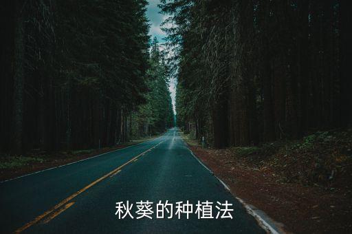 秋葵种植，秋葵如何种植